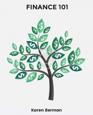 Finance 101 Karen Berman